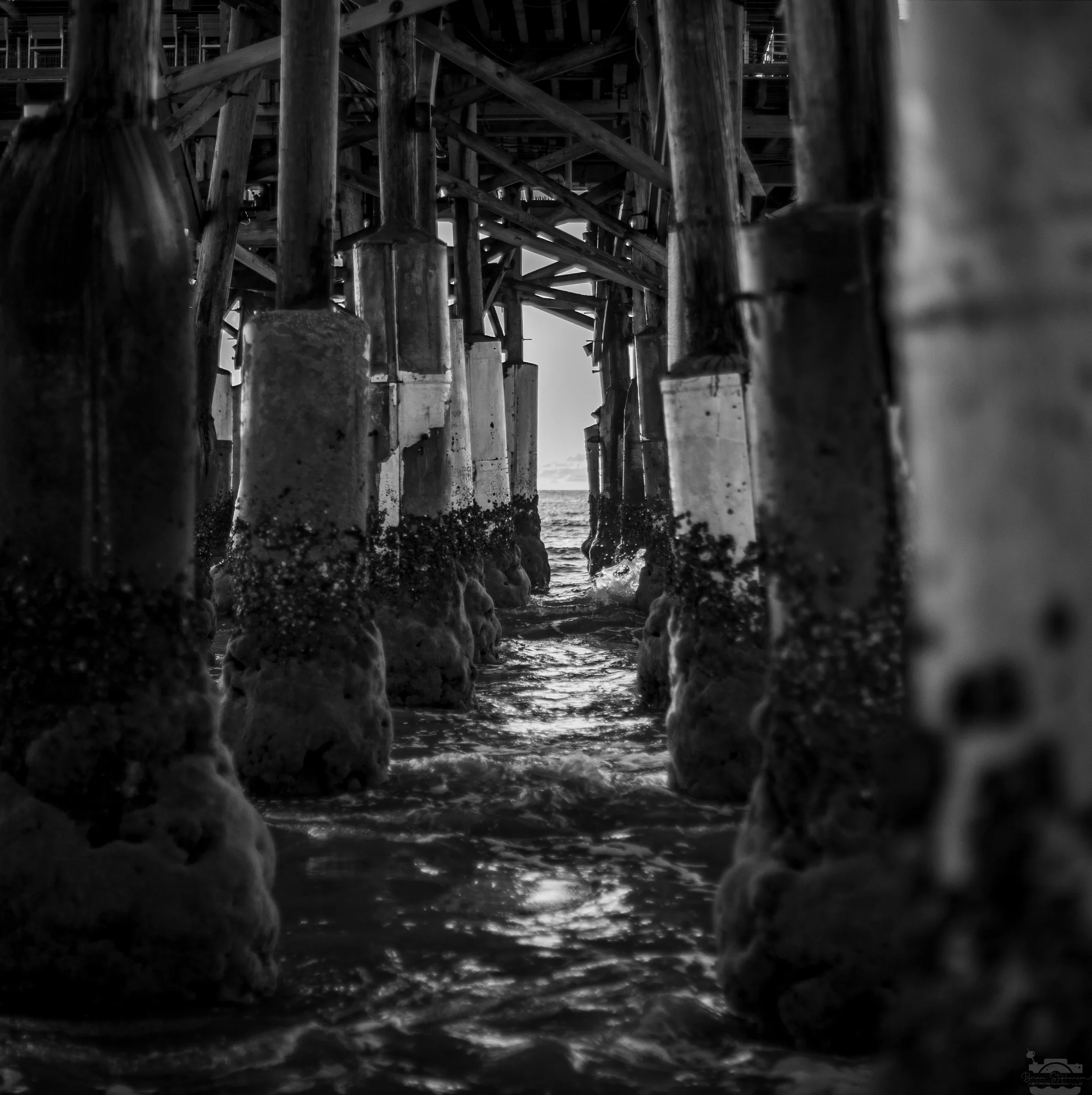 View beneath a pier with rows of pilings leading to the ocean horizon.